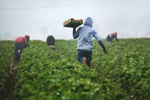 Pew: U.S. immigrant population declines for first time in nearly 60 years