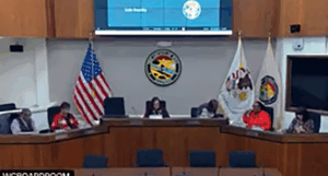 Will County Land Use and Development Briefs: Minor Subdivision, Extension Approved, Tiny Homes Advocate Returns