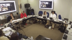 Will County Ordinance Committee Briefs: Unanimous Votes for Proclamations, Title Changes, Audits Discussed