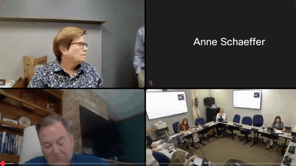 Will County Legislative Committee Meeting July 1, 2025