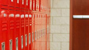 Reporting firearm threats to principals ‘common sense,’ IL legislator says