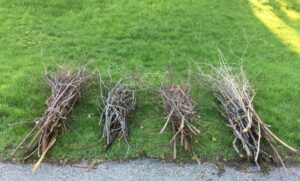 Final Brush Collection of the Season