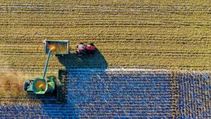 Bridge payment a ‘bandage,’ Illinois farmers say