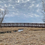 On the road to 100 years: How the Forest Preserve District expanded