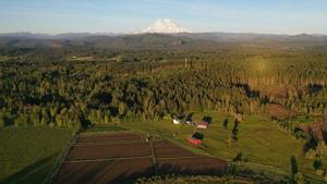 Farm bill passes U.S. House, heads to Senate for approval