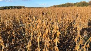China to buy $17B in US ag products, 200 Boeing jets