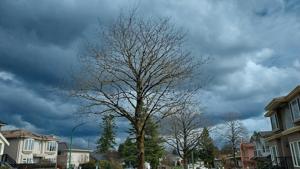 Illinois Quick Hits: Surveys continue after tornadoes, severe weather