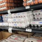 DOJ, states could secure 53 million eggs in price manipulation settlement