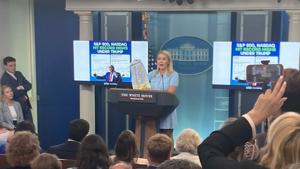 Leavitt: Trump’s primetime speech will 'shock' listeners about American election integrity