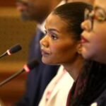 Illinois state diversity leader resigns amid criticism