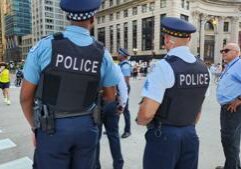 WATCH: Chicago hearing addresses police workload; resident calls for federal help