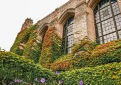 Northwestern president steps down amid federal funding cuts