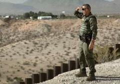 Advocates look to state-based immigration programs