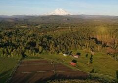 Farm bill passes U.S. House, heads to Senate for approval