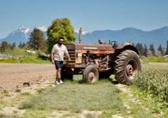 Farmers call for fertilizer price transparency, domestic growth