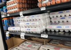 DOJ, states could secure 53 million eggs in price manipulation settlement