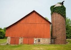 Hog producer: 2025 was strong, but IL legislature needs to address estate tax