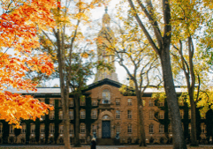 Report: Princeton ranked best university, best school overall