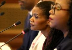 Illinois state diversity leader resigns amid criticism