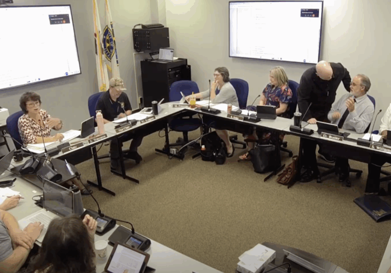 Will County Ad Hoc Ordinance Review Committee Meeting June 10, 2025