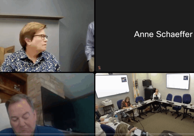 Will County Legislative Committee Meeting July 1, 2025