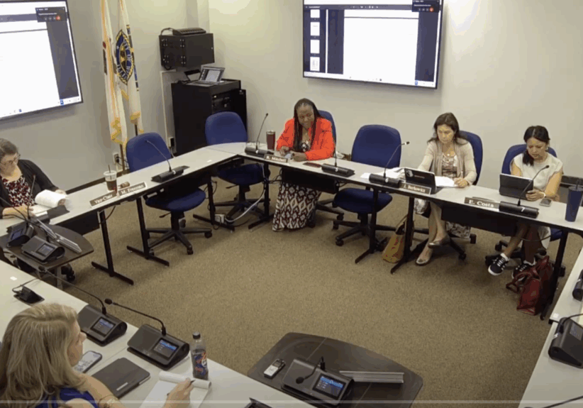 Will County Public Health & Safety Committee Meeting July 3, 2025